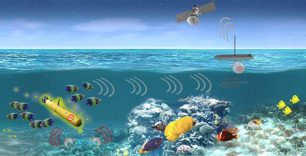 诺格公司将为 dapra "持久海洋生物传感器" 项目提供验证技术方案