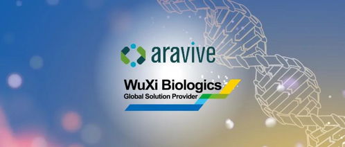 药明生物授权Aravive公司使用双特异性抗体技术平台开发双抗药物